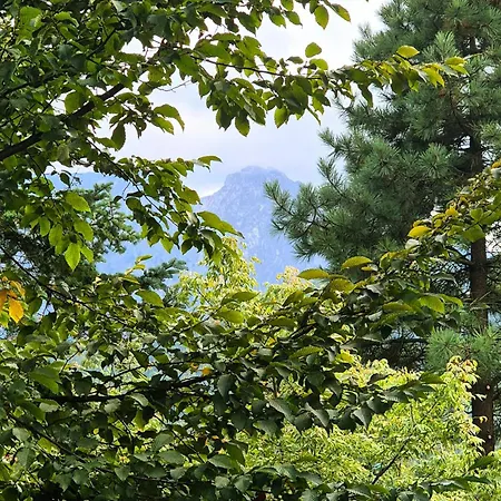 公寓 Mio Koscielisko Stok Narciarski 600m Polana Szymoszkowa 扎科帕内