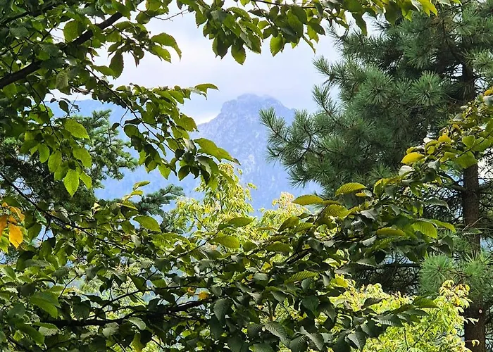 公寓 Mio Koscielisko Stok Narciarski 600m Polana Szymoszkowa 扎科帕内